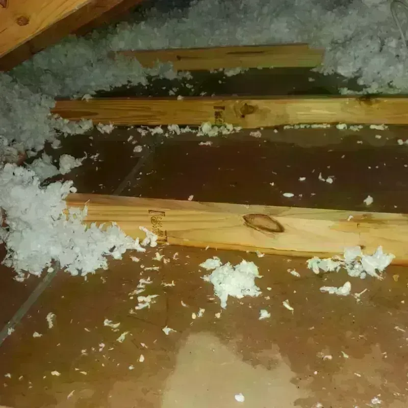 Attic Water Damage in Humboldt County, NV