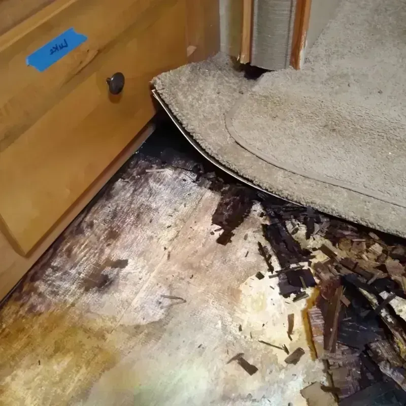 Wood Floor Water Damage in Humboldt County, NV